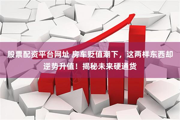 股票配资平台网址 房车贬值潮下，这两样东西却逆势升值！揭秘未来硬通货